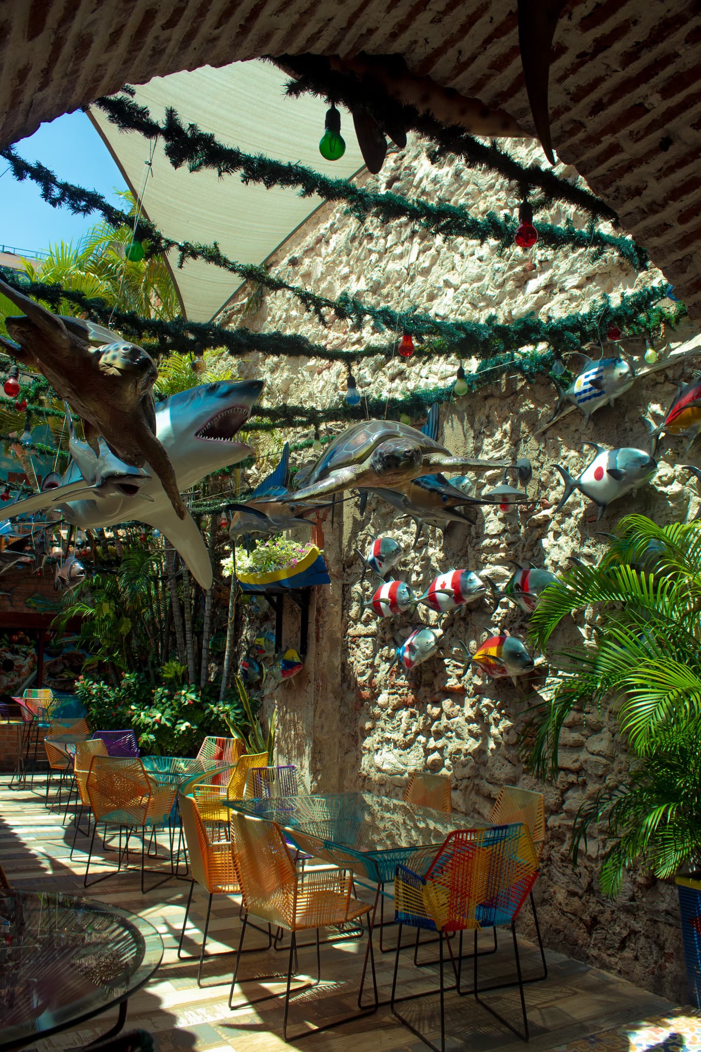Mariscos frescos del Caribe colombiano