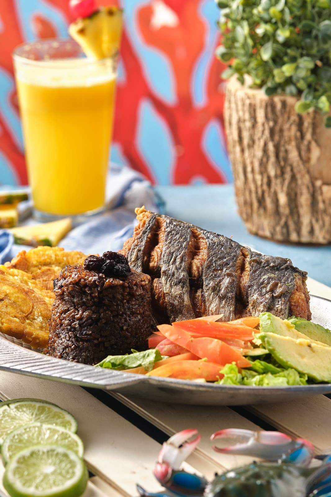 Typical Platter with Spanish Mackerel